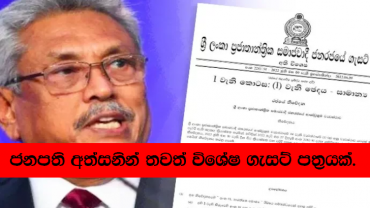 Gazette Notification