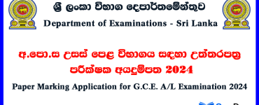 AL Paper Marking Application 2024