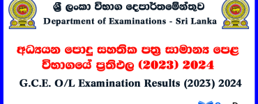 G.C.E. O/L Examination Results 2024