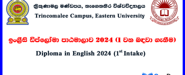 Diploma in English 2024