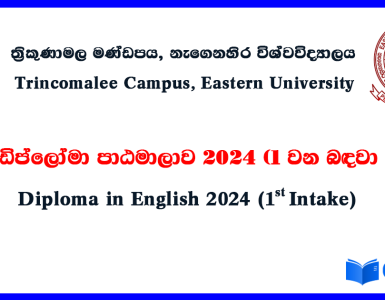 Diploma in English 2024