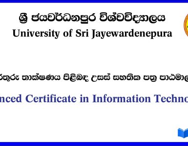 Advanced Certificate Course in Information Technology