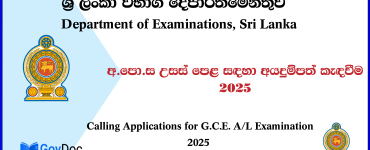 Department of Examinations