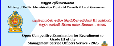 Ministry of Public Administration, Provincial Councils and Local Government