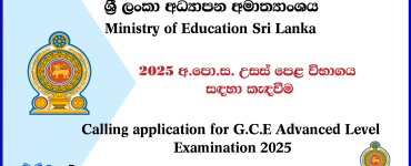 Department of Examinations