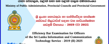 Sri Lanka Information and Communication Technology Service