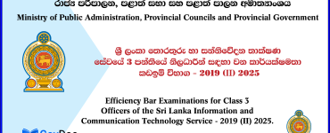 Sri Lanka Information and Communication Technology Service