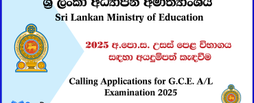 Advanced Level Exam Application