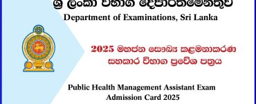 Department of Examination
