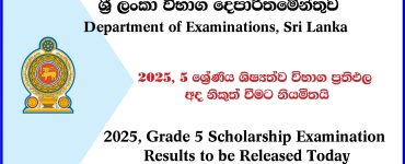 Scholarship Examination