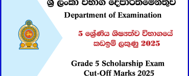 Scholarship Exam Cut-Off Marks 2025