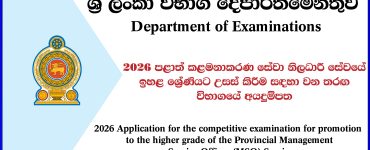 2026 Application for the competitive examination for promotion to the higher grade of the Provincial Management Service Officer (MSO) Service