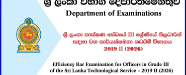 Officers in Grade III of the Sri Lanka Technological Service
