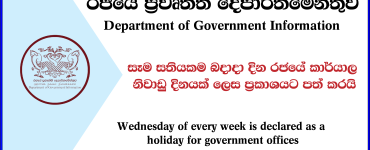 Department of Government Information