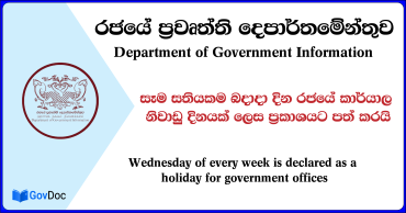Department of Government Information