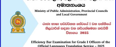 Efficiency Bar Examination for Grade I Officers of the Official Languages Translation Service