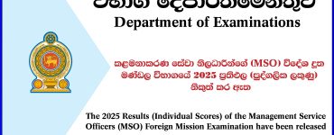 MSO Mission Exam Results Released (Individual Marks) 2025