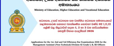 share