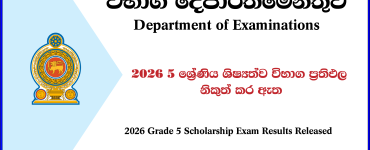 Grade 5 Scholarship Exam Results Released 2026