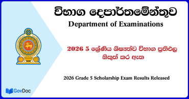 Grade 5 Scholarship Exam Results Released 2026