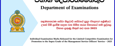 MSO Supra Limited Exam Results (Individual Marks) Released 2025